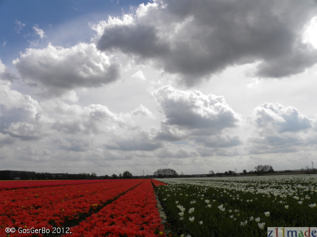 dscn6846.jpg