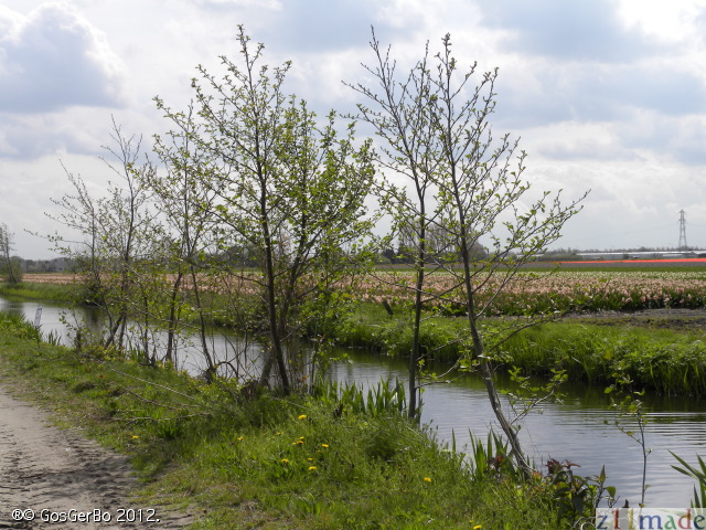 dscn6850.jpg
