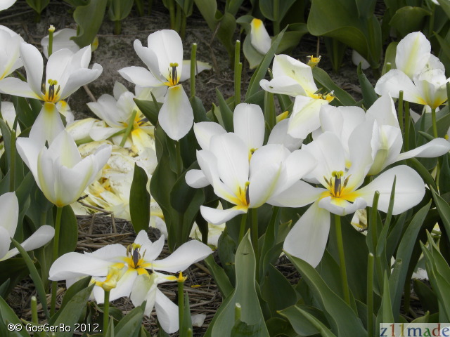 dscn6853.jpg