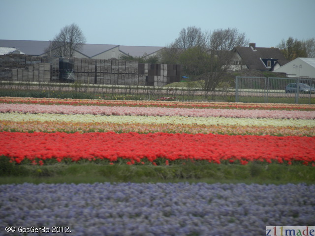 dscn6877.jpg