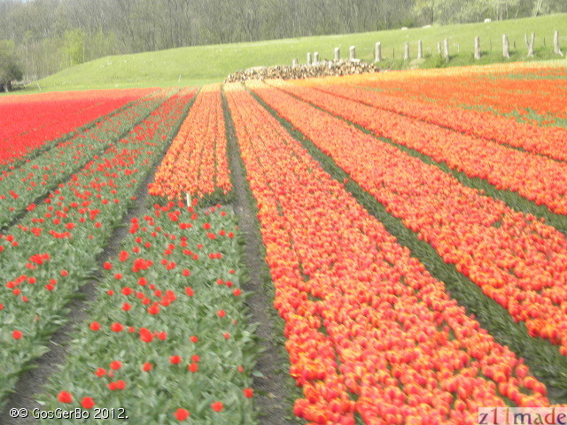 dscn6882.jpg