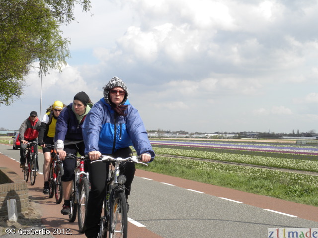 dscn6890.jpg