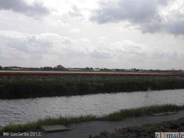 dscn6901.jpg