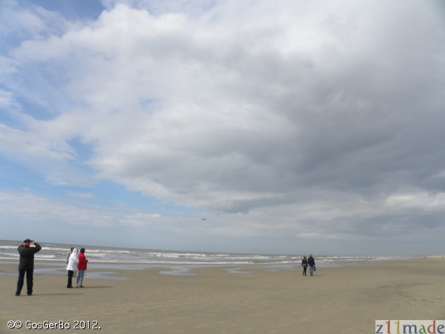 dscn6920.jpg
