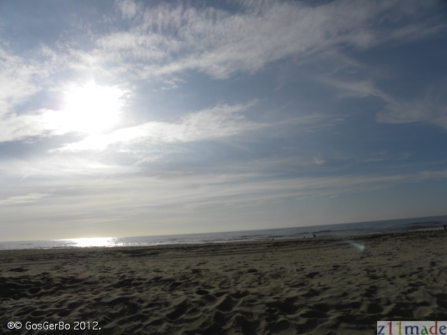 dscn6933.jpg