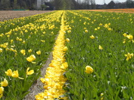 DSCN6830.JPG