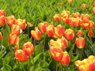 DSCN6833.JPG