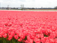 DSCN6838.JPG