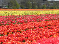 DSCN6840.JPG