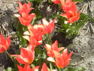 DSCN6843.JPG