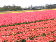 DSCN6844.JPG