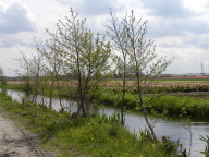 DSCN6850.JPG