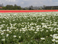 DSCN6851.JPG