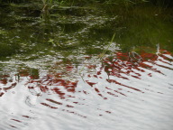 DSCN6864.JPG