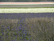 DSCN6874.JPG