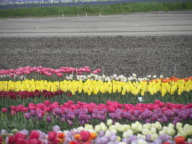 DSCN6880.JPG