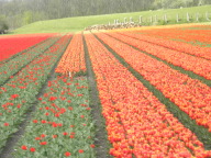 DSCN6882.JPG