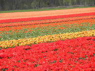 DSCN6884.JPG