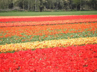 DSCN6887.JPG