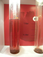 DSCN8734.JPG