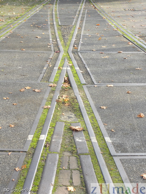 dscn9307.jpg