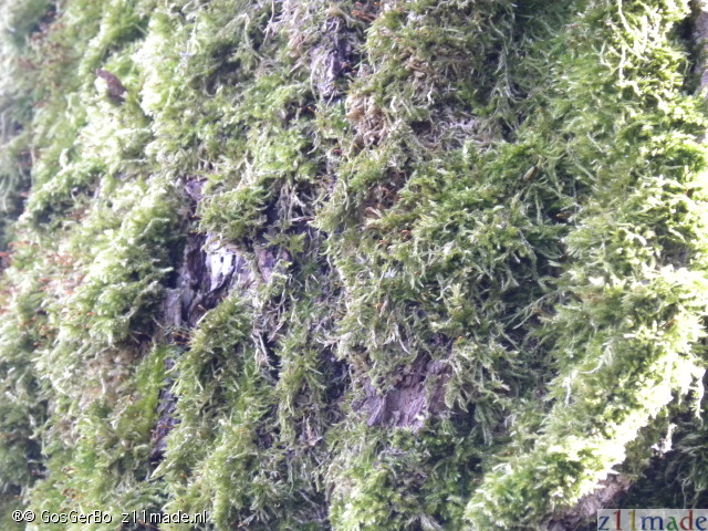 dscn5658.jpg
