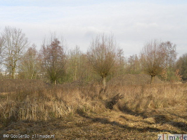 dscn5660.jpg