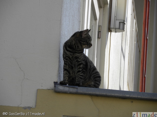 dscn8351.jpg