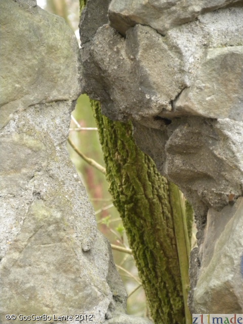 dscn5893.jpg