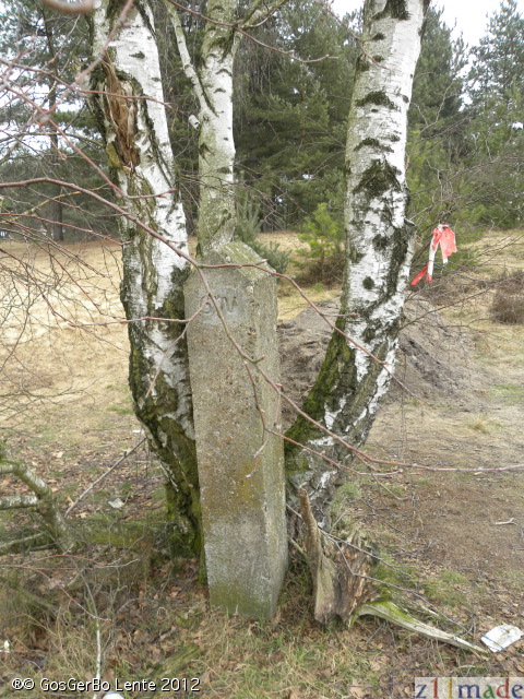 dscn5913.jpg