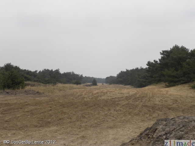 dscn5915.jpg