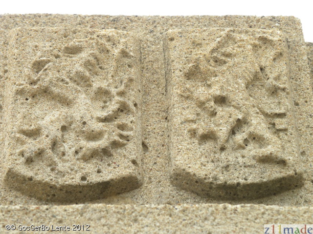 dscn5919.jpg