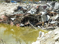 DSCN7347.JPG