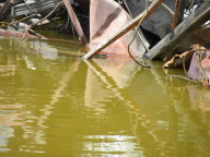 DSCN7349.JPG