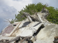 DSCN7351.JPG