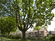 DSCN7355.JPG