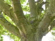 DSCN7356.JPG