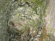 DSCN7358.JPG
