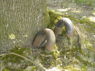 DSCN7359.JPG
