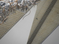 DSCN7363.JPG