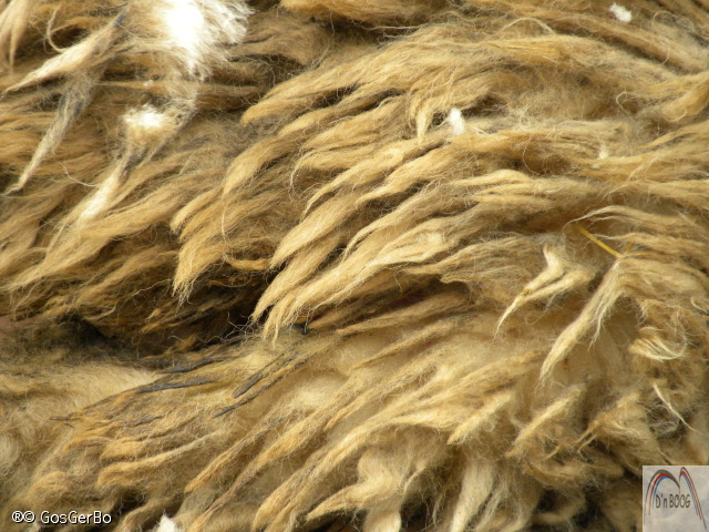 dscn9028.jpg