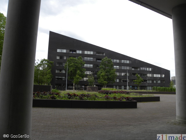 dscn7297.jpg