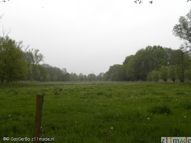 dscn7115.jpg