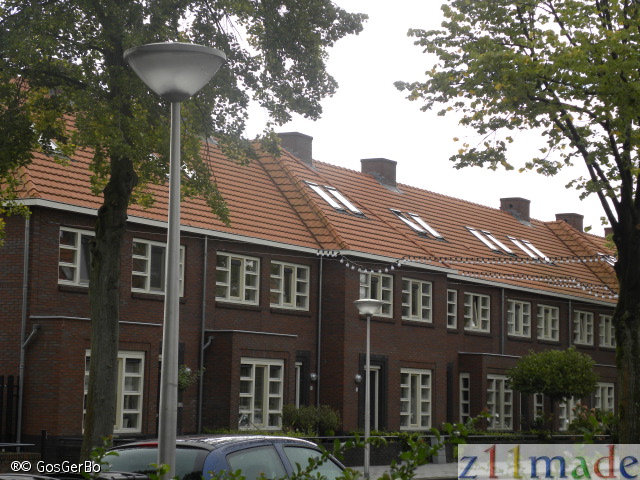 dscn0717.jpg
