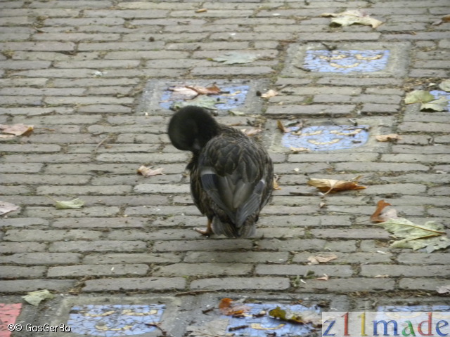 dscn0722.jpg