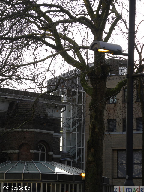 dscn9540.jpg