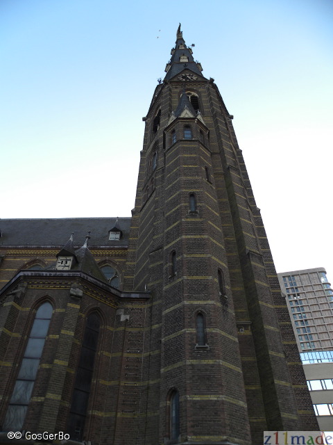 dscn9546.jpg