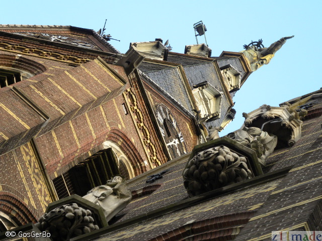 dscn9548.jpg