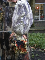 DSCN9560.JPG