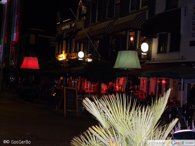 dscn8653.jpg